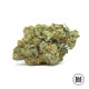 Насіння коноплі Good Wild Shark CBD fem. Bulk Seed Bank