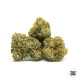Семена конопли Good Wild Shark fem. Bulk Seed Bank