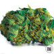 Насіння коноплі Grande Crack fem. Bulk Seed Bank