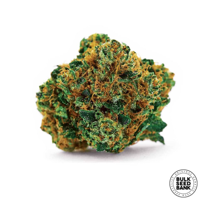 Насіння коноплі Grapefruit fem. Bulk Seed Bank