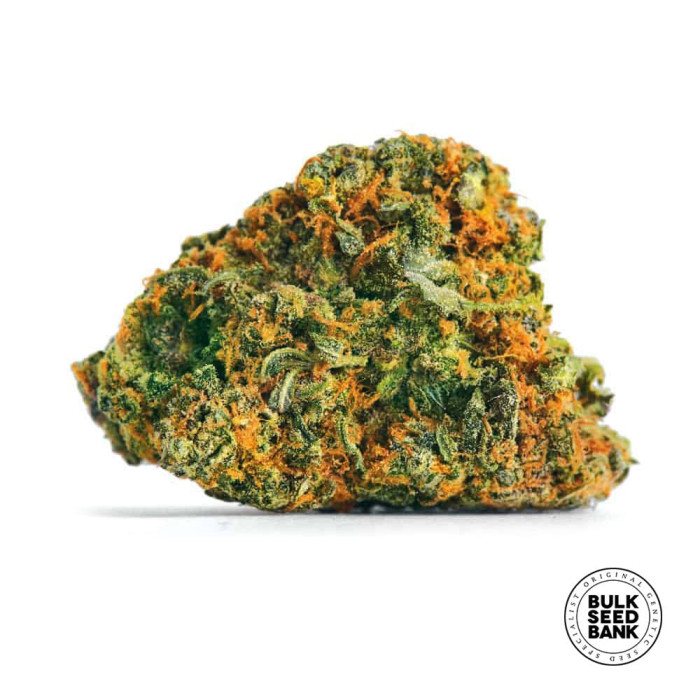 Насіння коноплі Guerilla Glue fem. Bulk Seed Bank