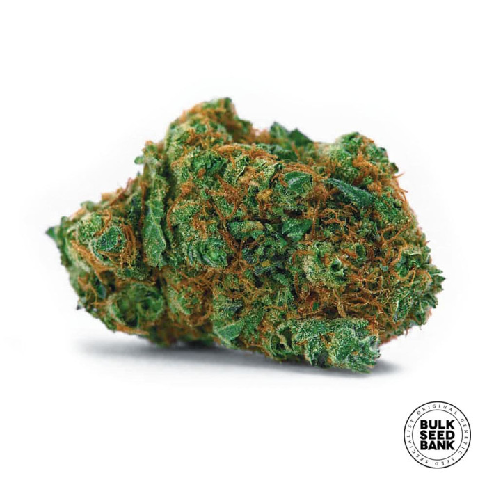 Насіння коноплі Kali’s Mistery fem. Bulk Seed Bank
