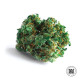 Семена конопли Lime Skunk fem. Bulk Seed Bank