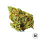 Семена конопли Moby Big fem. Bulk Seed Bank