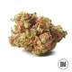 Семена конопли NBA Diesel fem. Bulk Seed Bank