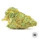 Насіння коноплі Nepal Gold CBD fem. Bulk Seed Bank