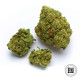 Насіння коноплі Nepal Gold fem. Bulk Seed Bank