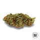Насіння коноплі New’s Haze fem. Bulk Seed Bank
