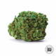 Насіння коноплі OG Kush fem. Bulk Seed Bank