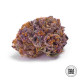 Семена конопли Purple Glam Kush fem. Bulk Seed Bank