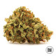 Насіння коноплі Sherbet Power fem. Bulk Seed Bank