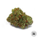 Семена конопли Sour Diesel fem. Bulk Seed Bank