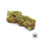 Насіння коноплі Special Crystal Haze fem. Bulk Seed Bank