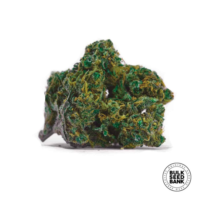 Насіння коноплі Special Lime Haze fem. Bulk Seed Bank