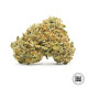 Семена конопли Sunmango fem. Bulk Seed Bank