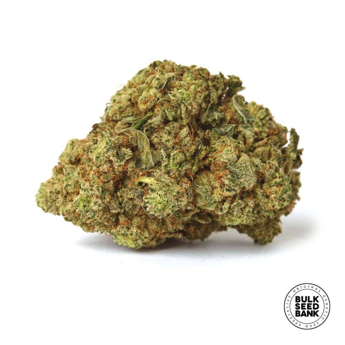Семена конопли The Unlimited fem. Bulk Seed Bank