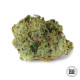 Насіння коноплі White Prussian fem. Bulk Seed Bank