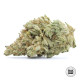 Насіння коноплі White Widow fem. Bulk Seed Bank