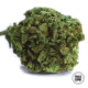 Насіння коноплі Winning Cake fem. Bulk Seed Bank