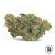 Насіння коноплі Zkittly Zi Zi fem. Bulk Seed Bank