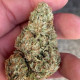 Насіння коноплі Lord Kush fem. Delicious Seeds
