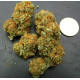 Насіння коноплі Northern Light Blue fem. Delicious Seeds