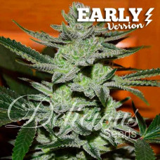 Unknown Kush Early Version feminised (Delicious Seeds)