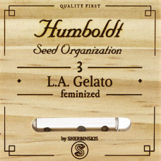 L.A. Gelato feminised (Humboldt Seeds)