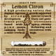 Семена конопли Lemon Citron fem. Humboldt Seeds