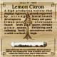 Насіння коноплі Lemon Citron fem. Humboldt Seeds