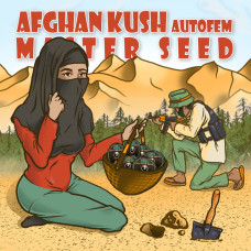 Afghan Kush auto feminised (MASTER SEED)