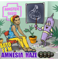 Amnesia Haze auto feminised (MASTER SEED)