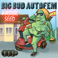 Big Bud auto feminised (MASTER SEED)