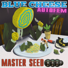 Blue Cheese auto feminised (MASTER SEED)