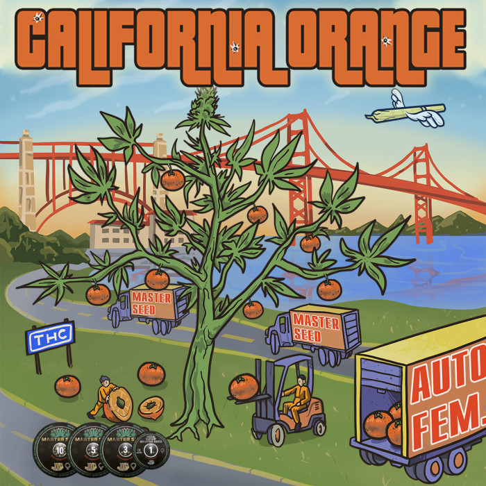 Семена конопли California Orange autofem. MASTER SEED