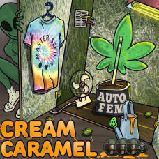 Cream Caramel auto feminised (MASTER SEED)