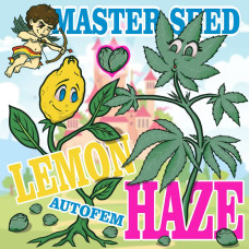 Lemon Haze auto feminised (MASTER SEED)