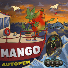 Mango auto feminised (MASTER SEED)