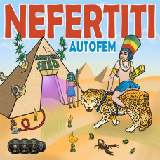 Nefertiti auto feminised (MASTER SEED)