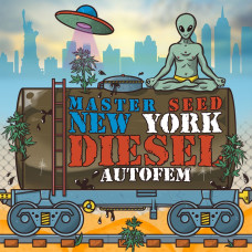 New York Diesel auto feminised (MASTER SEED)