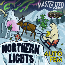 Northern Lights CBD auto feminised (MASTER SEED)