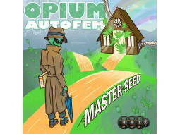 Opium auto feminised (MASTER SEED)