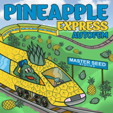 Pineapple Express auto feminised (MASTER SEED)
