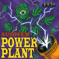Power Plant auto feminised (MASTER SEED)