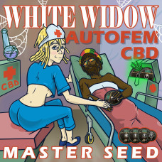 White Widow CBD auto feminised (MASTER SEED)