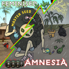 Amnesia feminised (MASTER SEED)