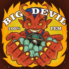 Big Devil feminised (MASTER SEED)