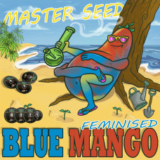 Blue Mango feminised (MASTER SEED)