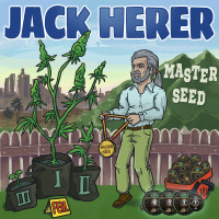 Jack Herer feminised (MASTER SEED)