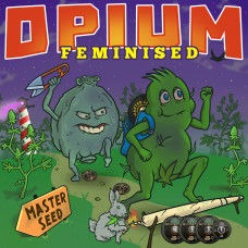 Opium feminised (MASTER SEED)